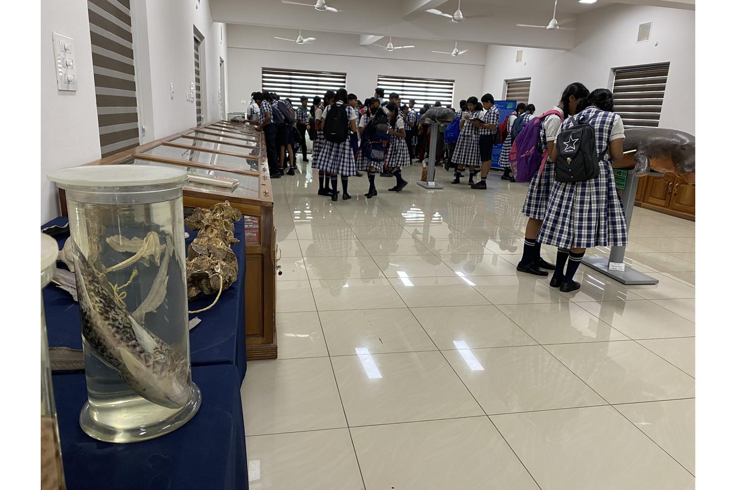 Our Educational Trip Adventure.